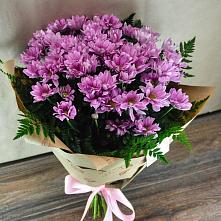 Букет цветов из:  Хризантемы #REPLACE_PRED# Аристово