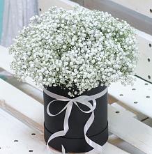 Цветочная композиция из Гипсофила в шляпной коробке #REPLACE_PRED# Аристово