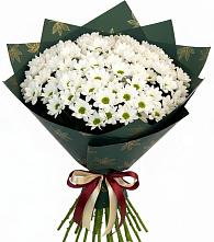 Букет цветов из:  Хризантемы #REPLACE_PRED# Аристово