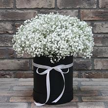 Цветочная композиция из Гипсофила в шляпной коробке в Аристово