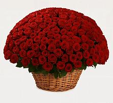 Премиум букет из: Розы в Аристово