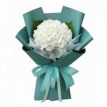 Букет цветов из:  Гортензия #REPLACE_PRED# Аристово